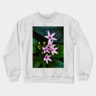 The Pink Star Flower Crewneck Sweatshirt